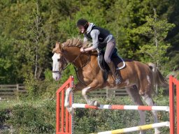 IMG-0656_web